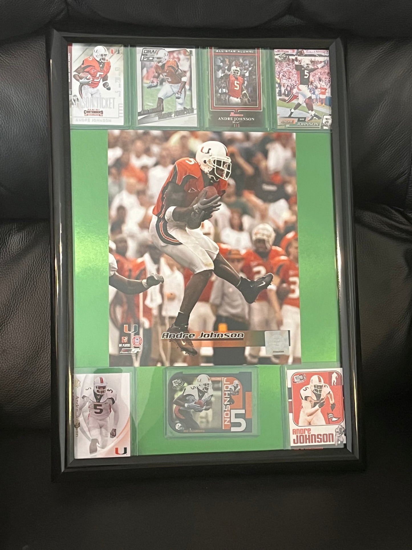 Andre Johnson Framed Sports Portrait with Trading Cards