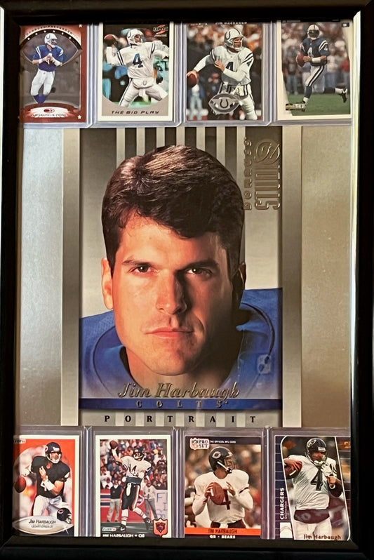 Jim Harbaugh Framed Sports Portrait