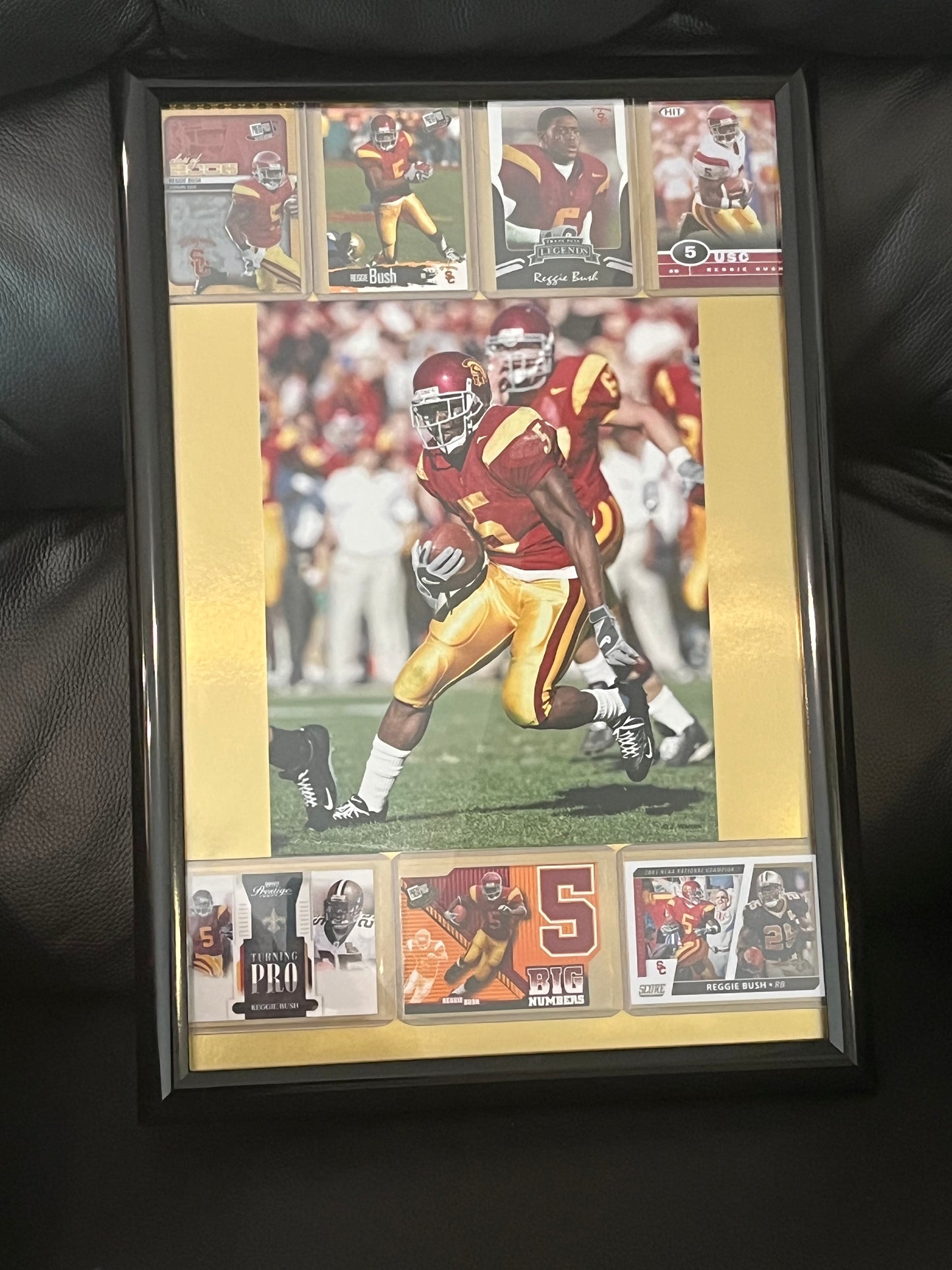 Reggie Bush Framed Sports Portrait with Trading Cards