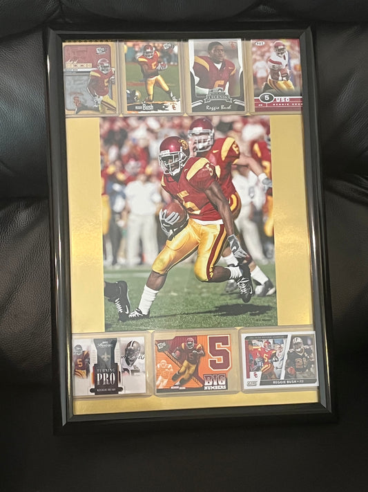 Reggie Bush Framed Sports Portrait with Trading Cards