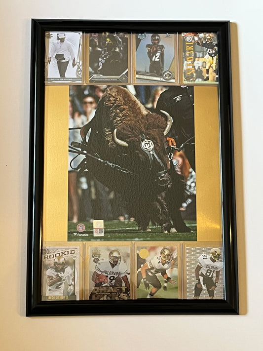 University of Colorado Football framed sports portrait