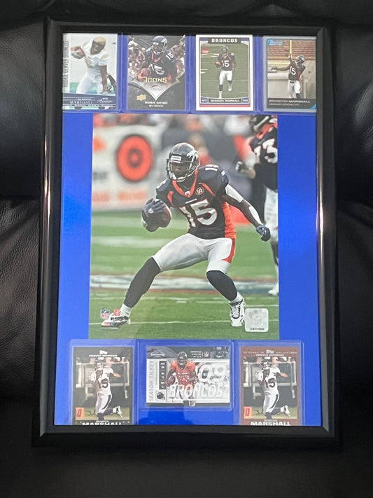 Brandon Marshall Framed Sports Portrait with Trading Cards