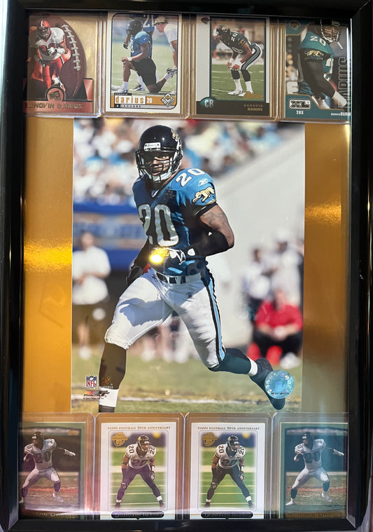 Donovin Darius Framed Sports Portrait